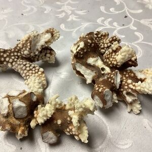 Aquarium Coral Rock Hideout, Fish Tank‎ Decor COLLECTABLE SPECIMANS